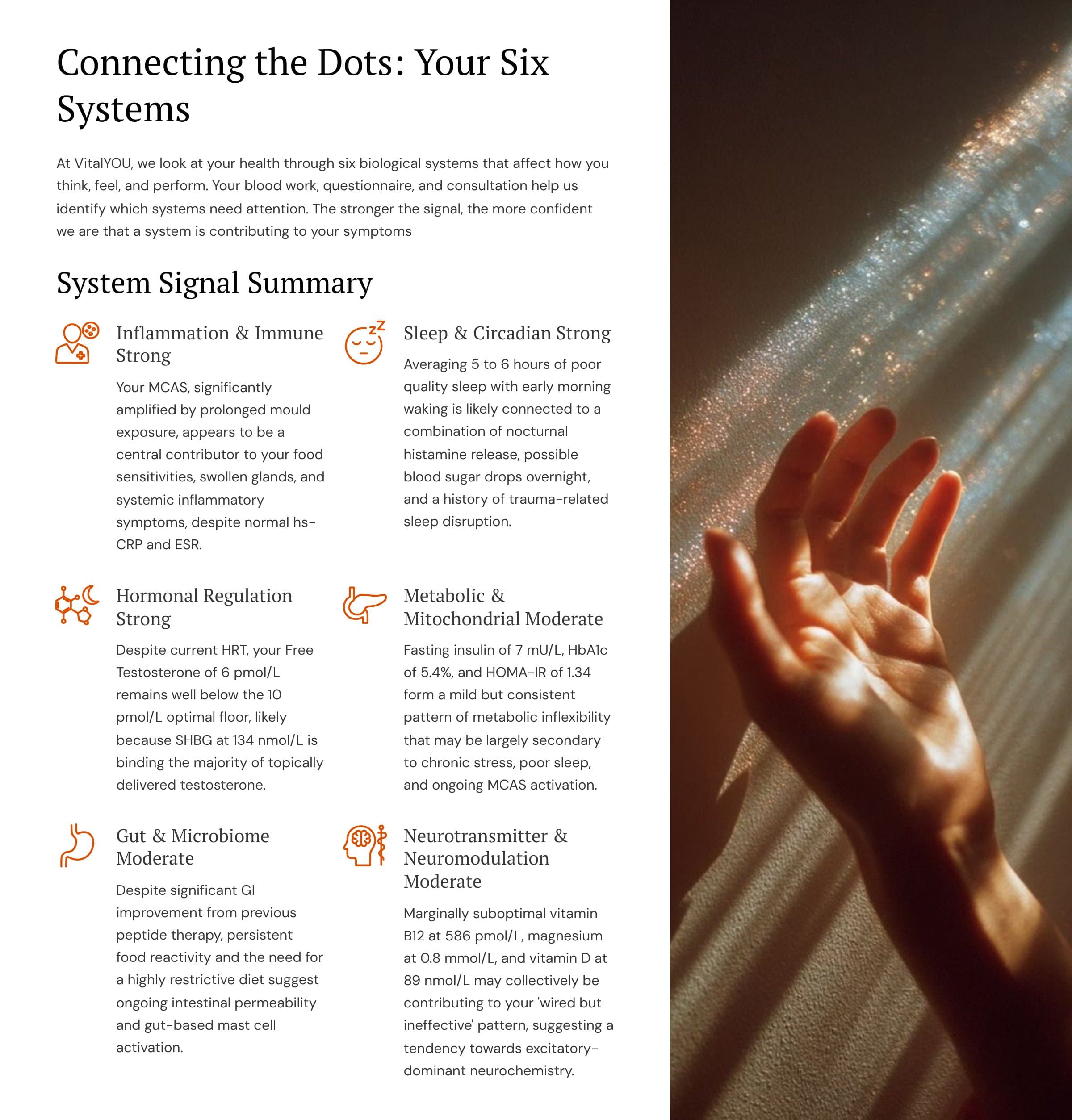 Report page: Your six systems