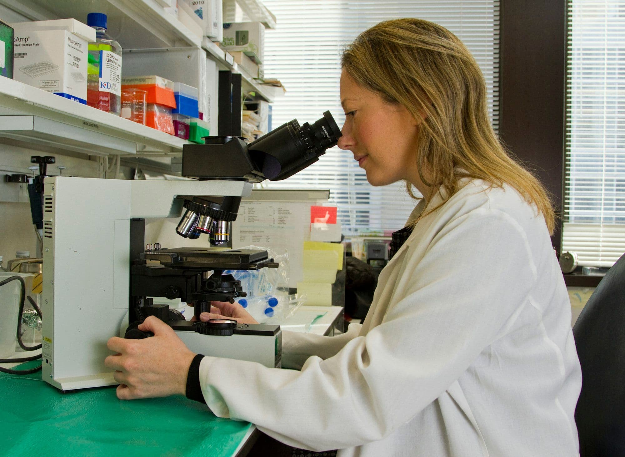 Photograph of a scientist looking into a microscope in a laboratory